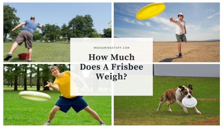 How Much Does A Frisbee Weigh?