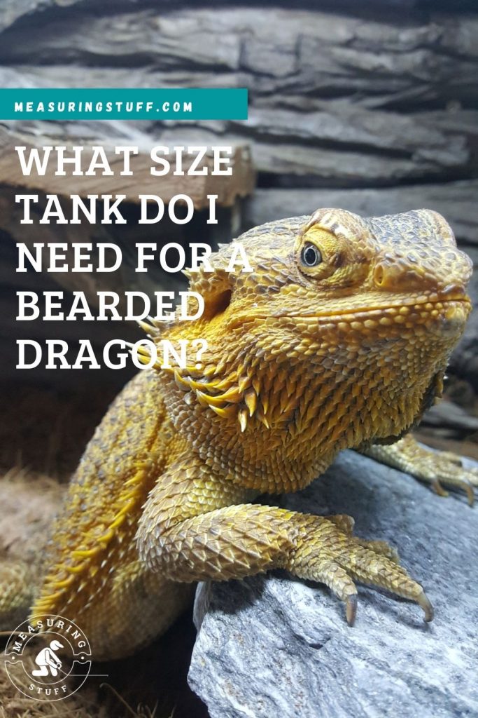 What Size Tank Do I Need For A Bearded Dragon?