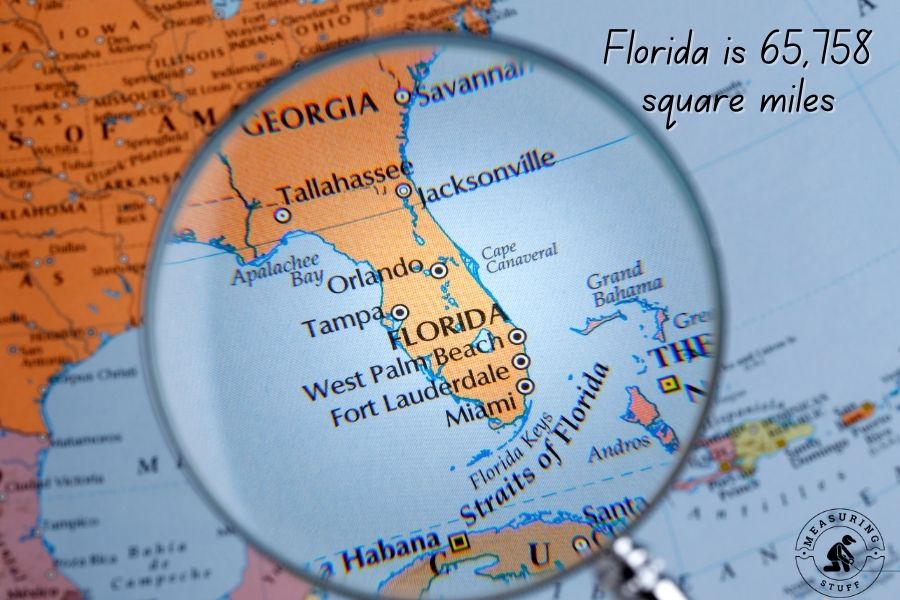 florida map under magnifying glass