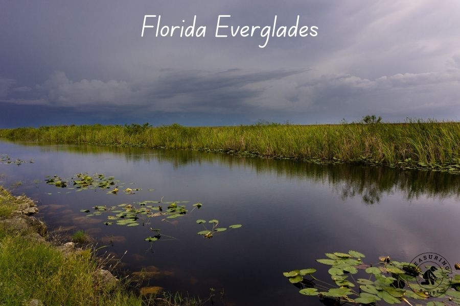 Florida everglades