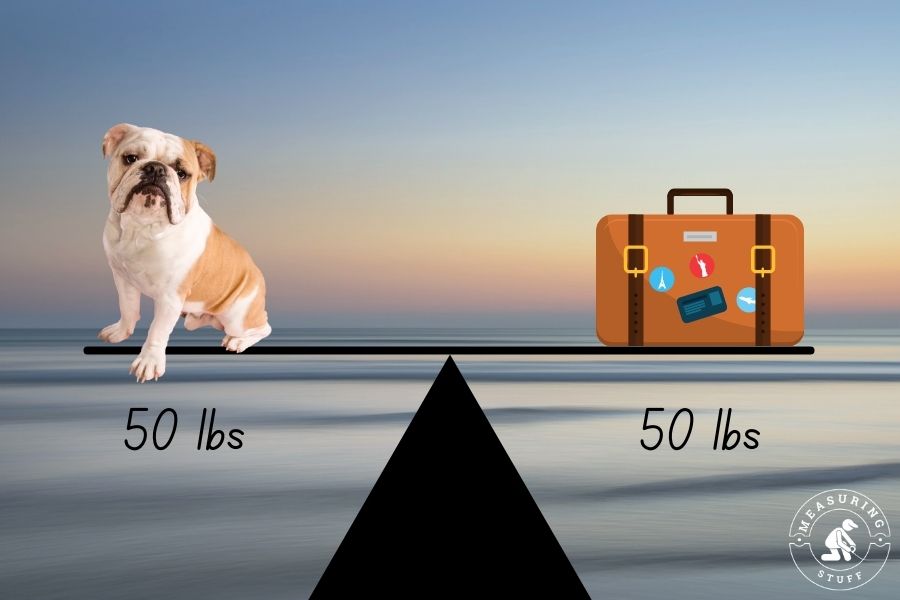 diy fulcrum with bulldog and luggage