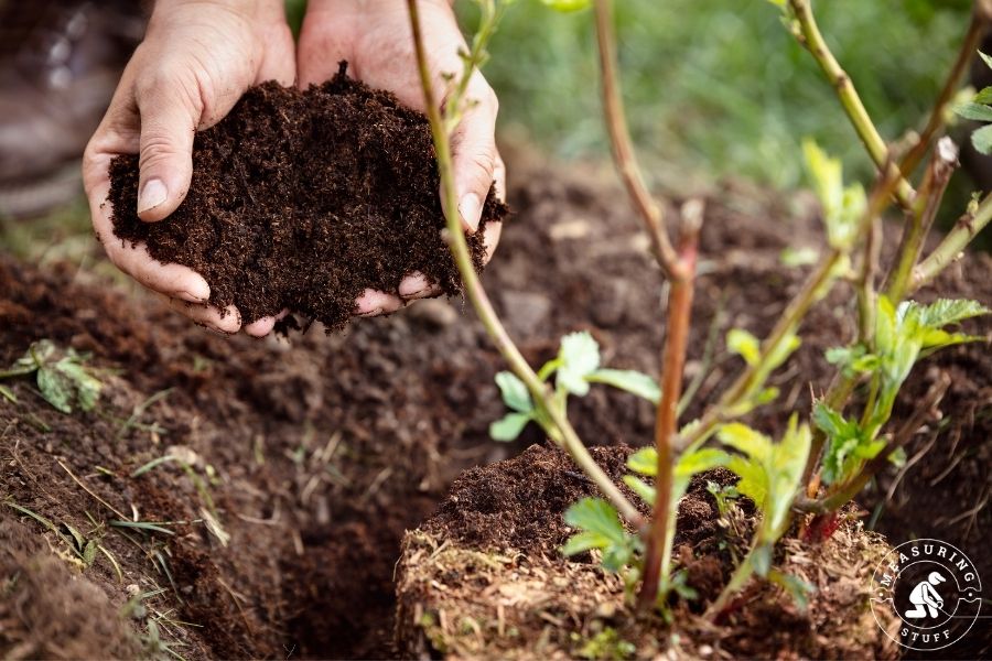handful of mulch next to a weed in garden