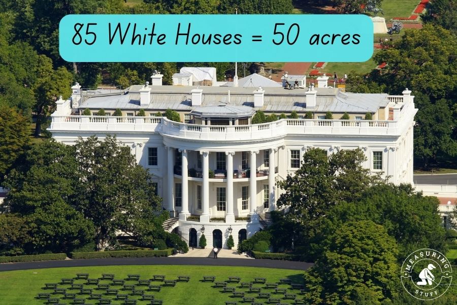 white house