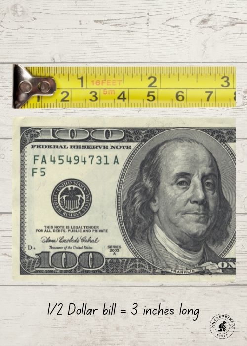 half dollar bill measuring 3 inches long