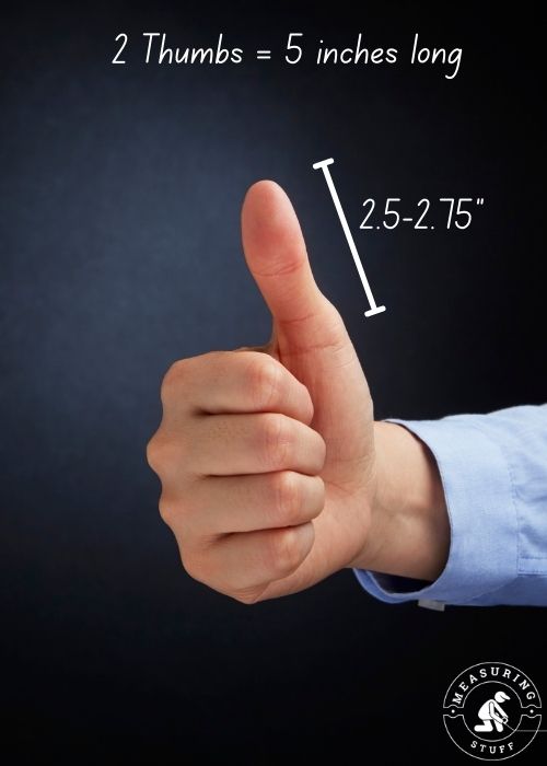 Male thumb dimensions