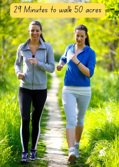 women walking on a path