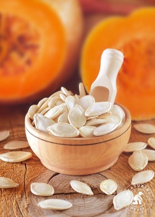 pumpkin seeds