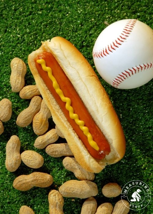 hotdog at ballpark