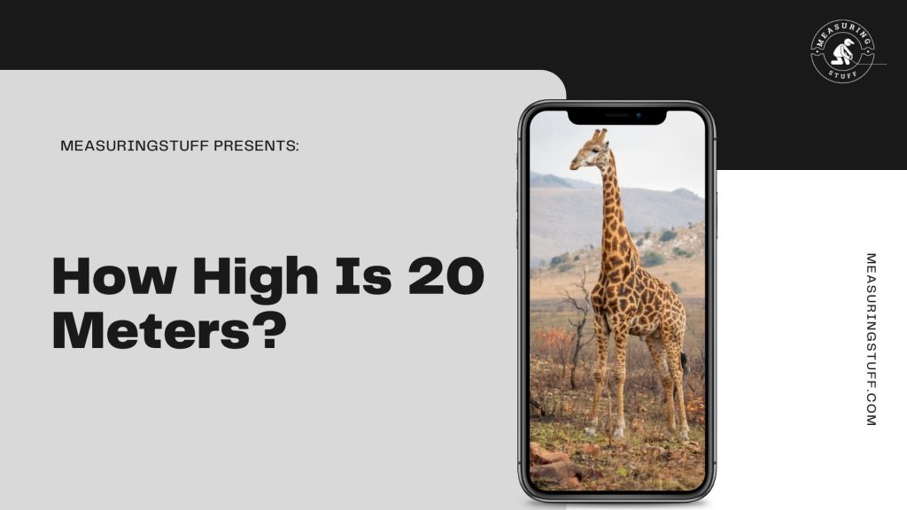 How High Is 20 Meters? image of giraffe