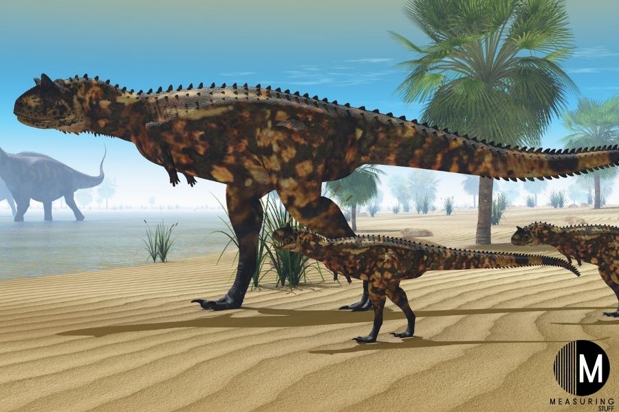 Carnotaurus dinosaurs
