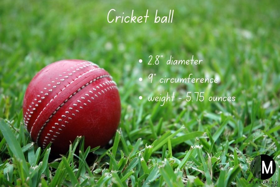 cricket ball dimensions