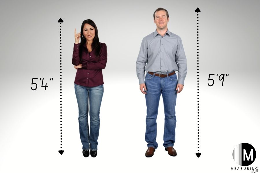 man vs woman height