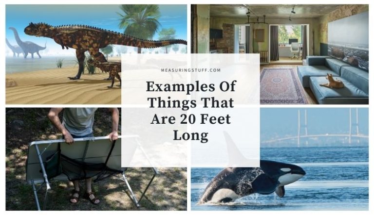 10 Examples Of Things That Are 20 Feet Long