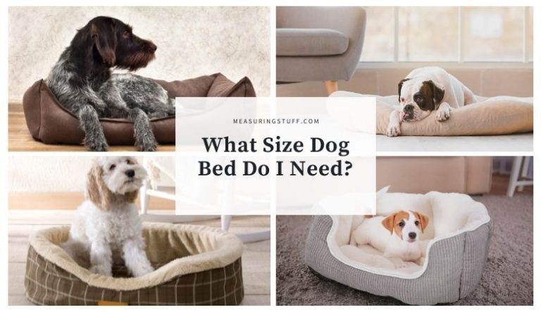 What Size Dog Bed Do I Need? Tips For Choosing The Right One