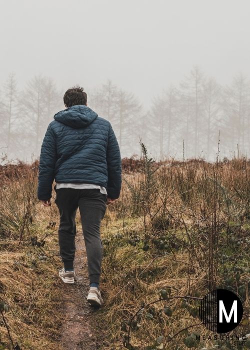 person walking on path