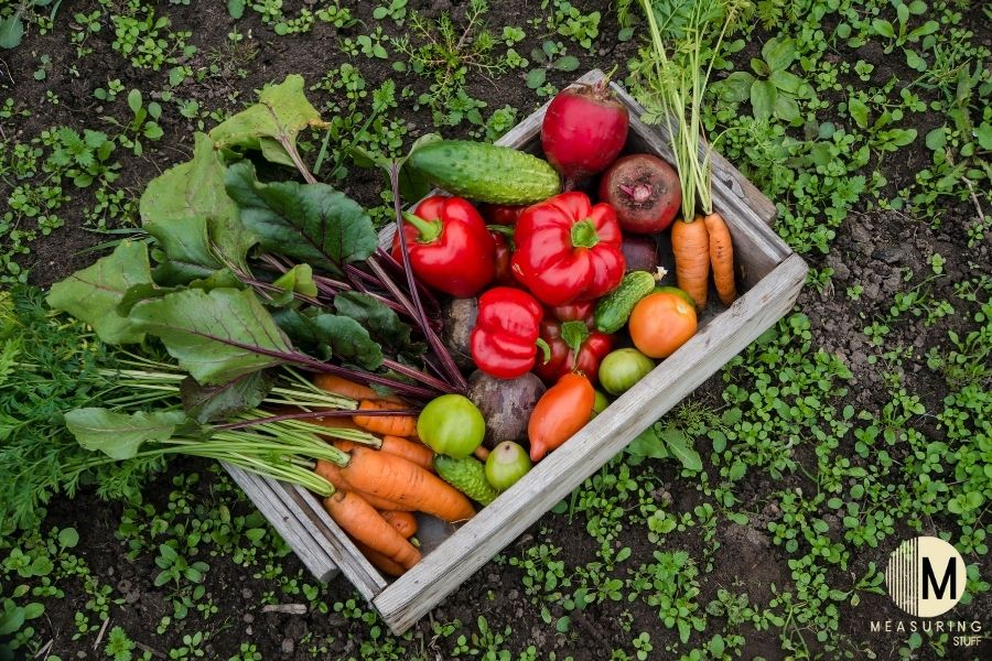 vegetables in garden