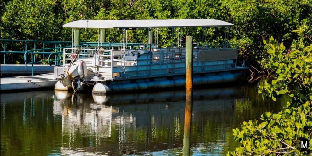 large pontoon boat next to trees and shrubs