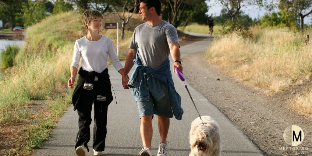 couple walking a dog