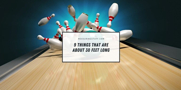 9 Things That Are About 30 Feet Long