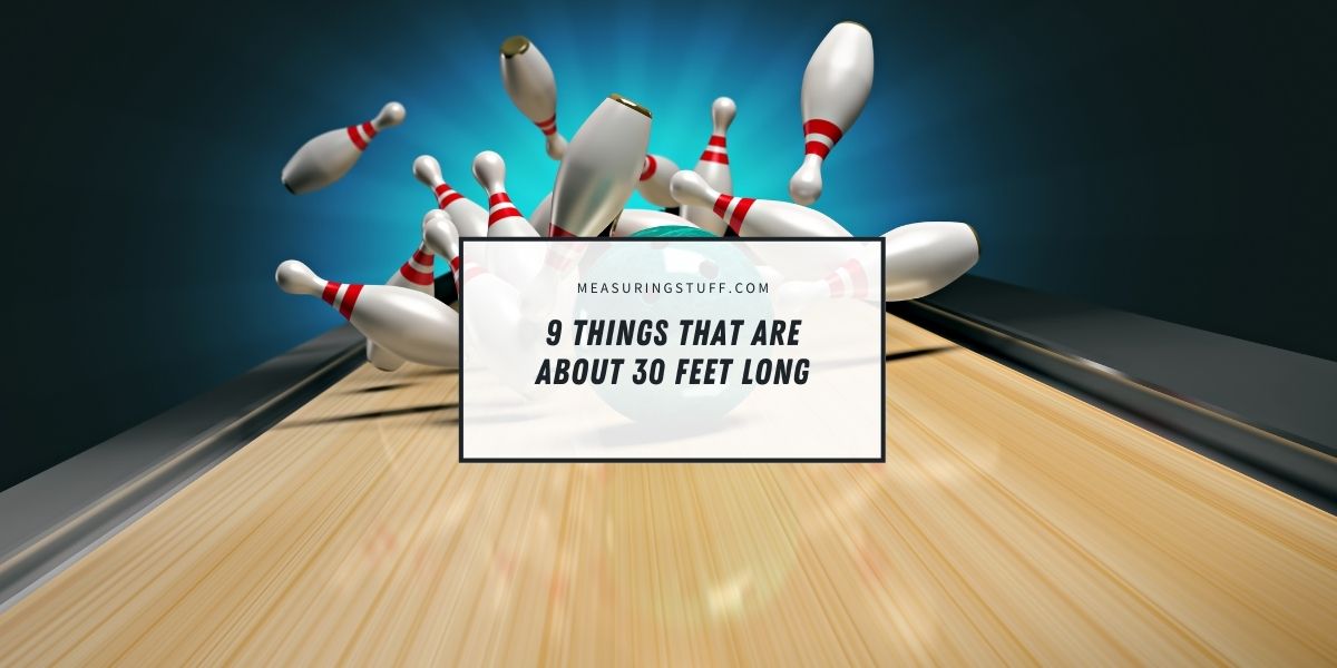 9 Things That Are About 30 Feet Long
