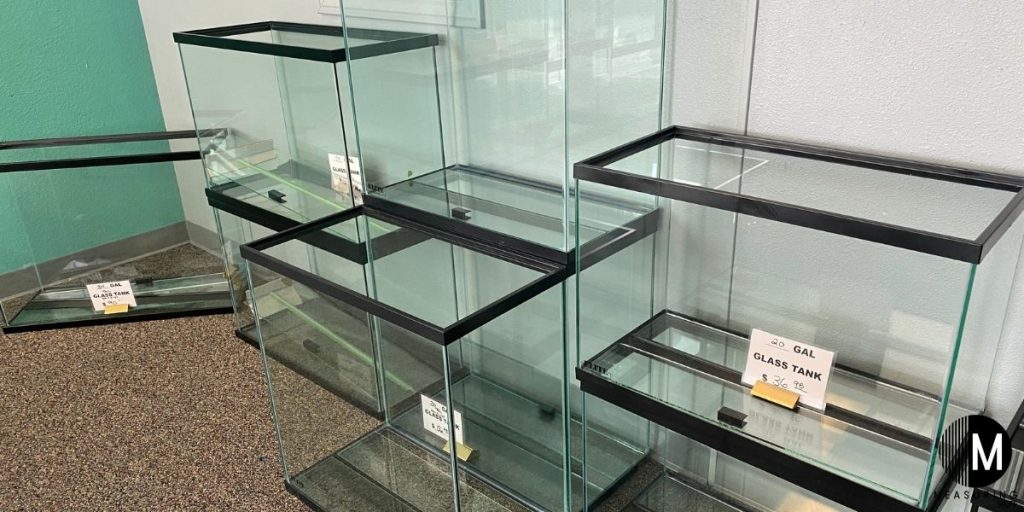 empty glass aquariums