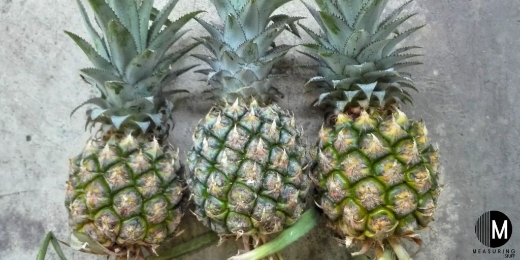 three pineapples