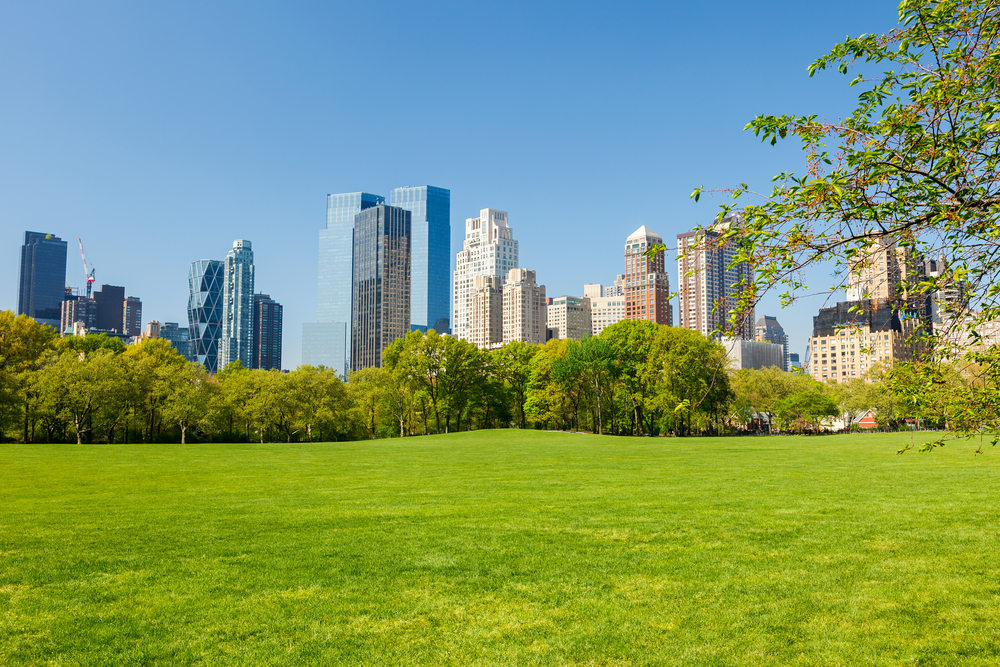 Central park at sunny day, New York City