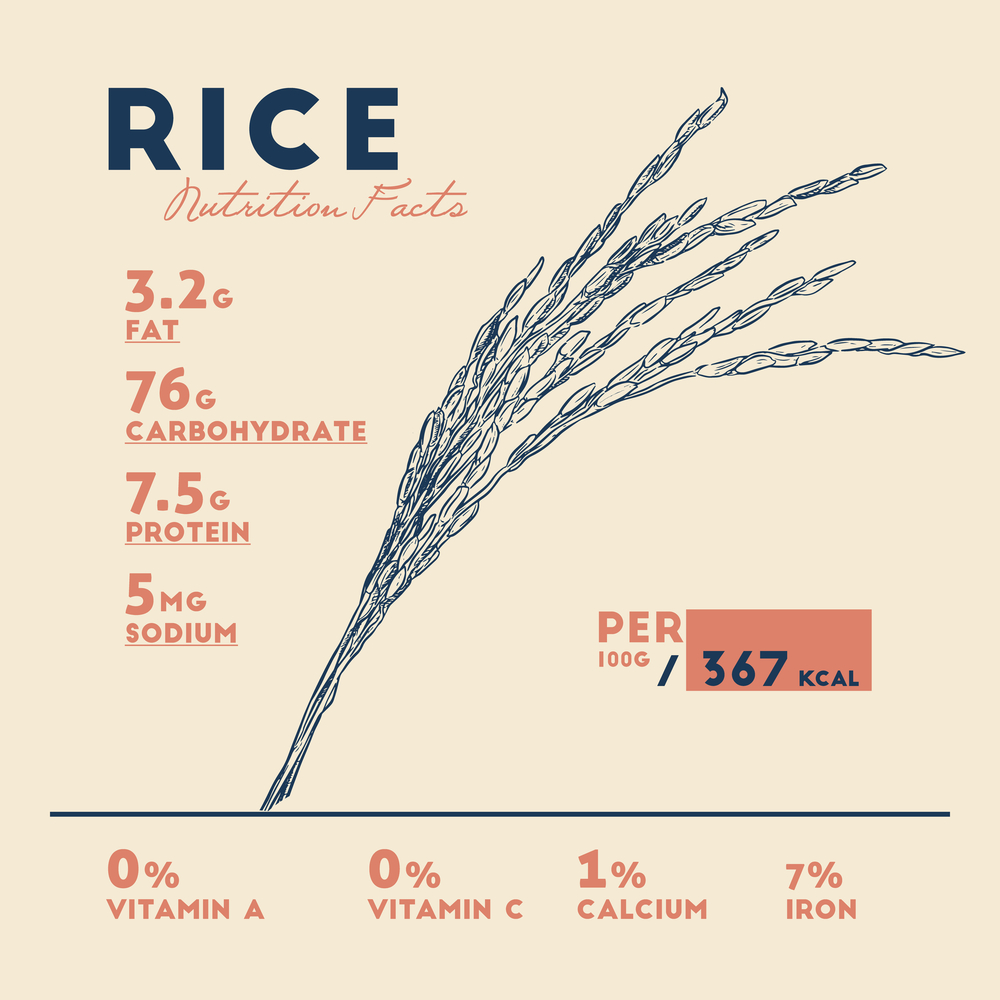 Health benefits of rice . Nutrition facts. Hand drawn health benefits vector.