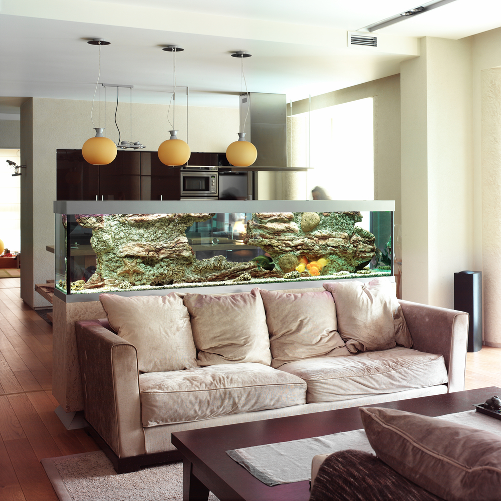 home aquarium behind a couch