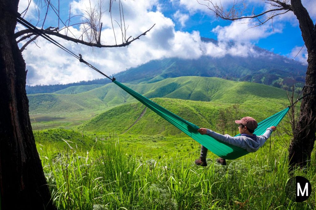 man in a hammock overlooking a field