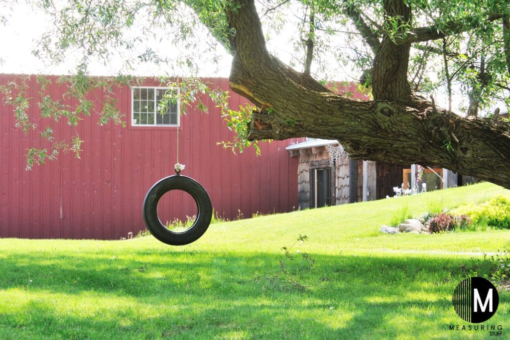 tire swing on a tree