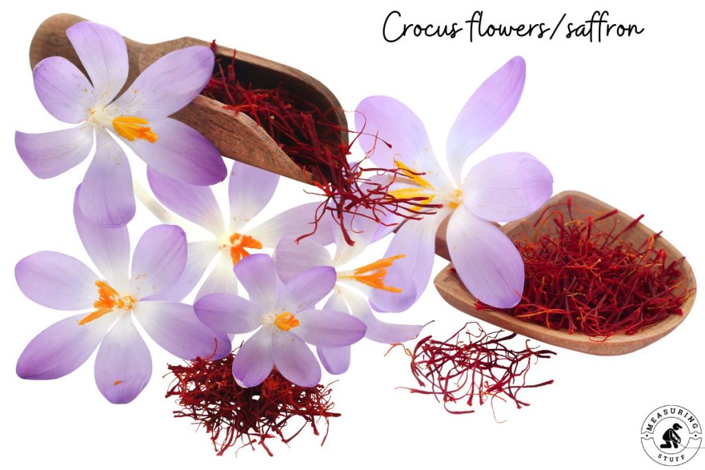 crocus flowers/saffron