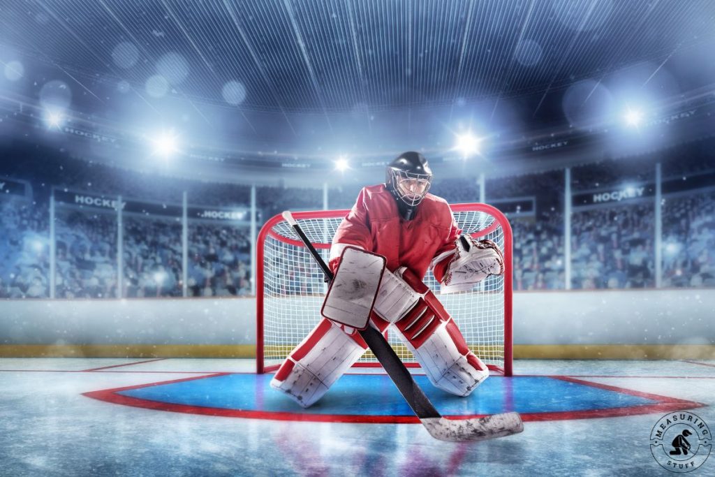 ice hockey goalie