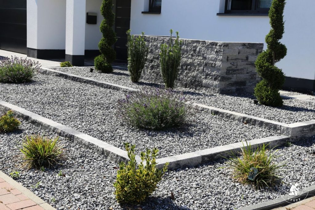 gravel in backyard with plants growing through it