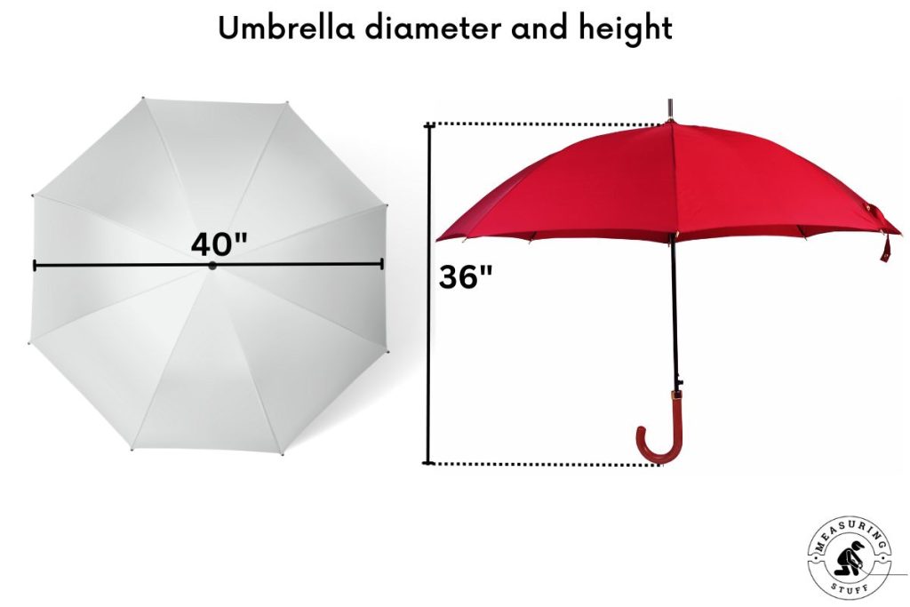 umbrella diameter and height images