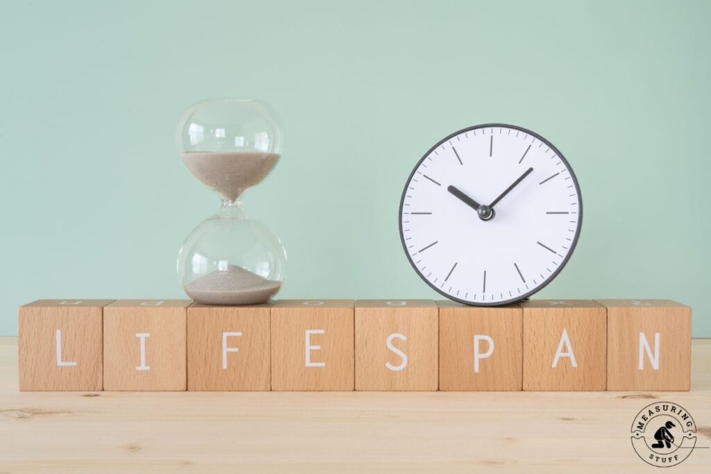 lifespan wooden blocks with clock and hourglass timer