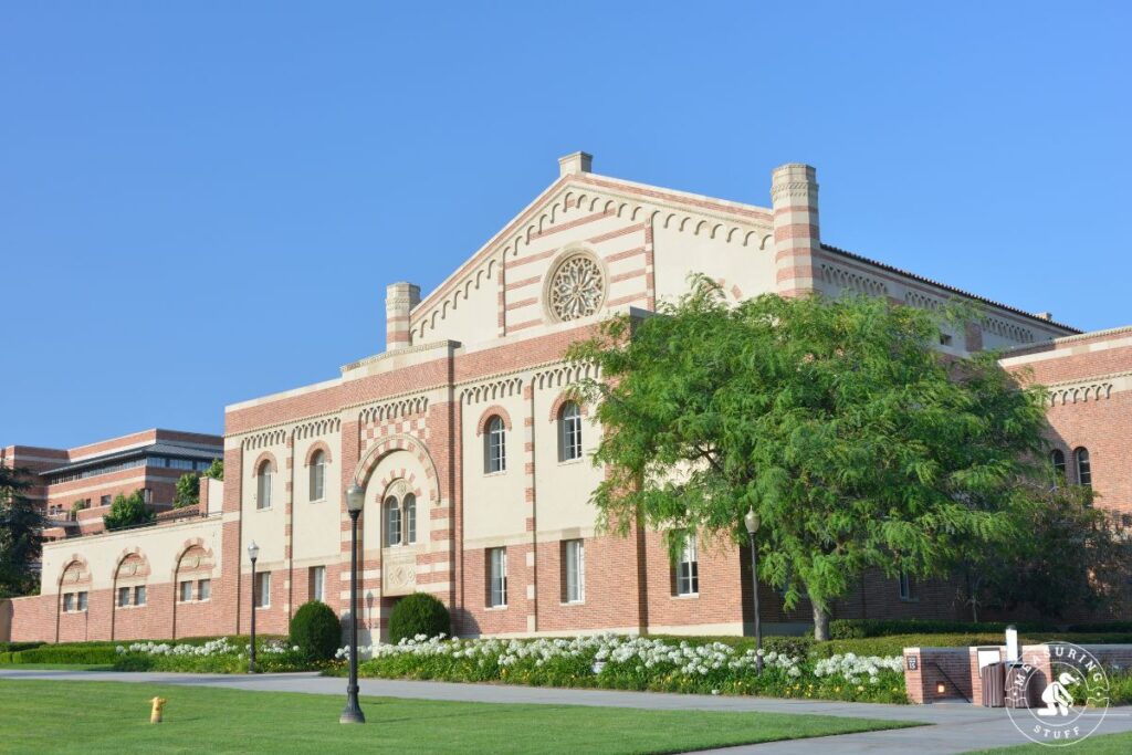 University of California, Los Angeles