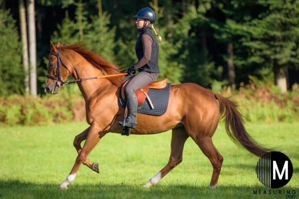woman sitting on a horse proper balance