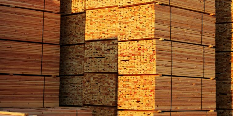 11 Examples Of Things That Are 70 Feet Long