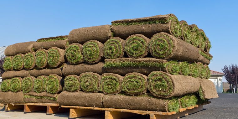 How Heavy Is 4 Tons? (11 Interesting Examples)