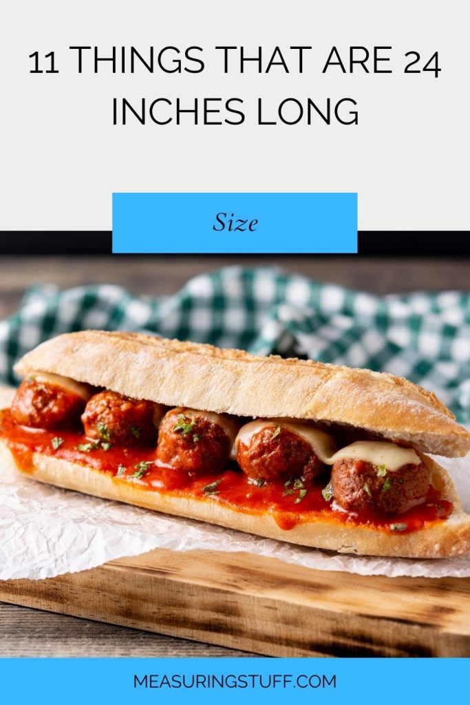 11 Things That Are 24 Inches Long image of meatball sub