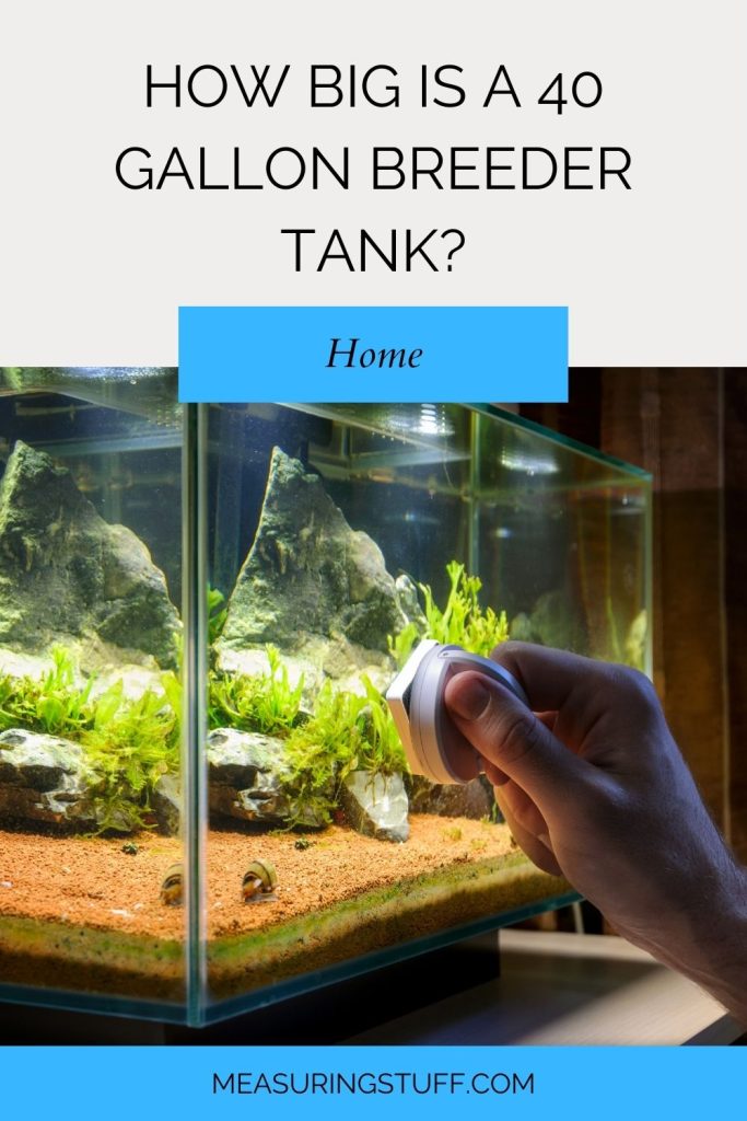 How Big Is A 40 Gallon Breeder Tank?