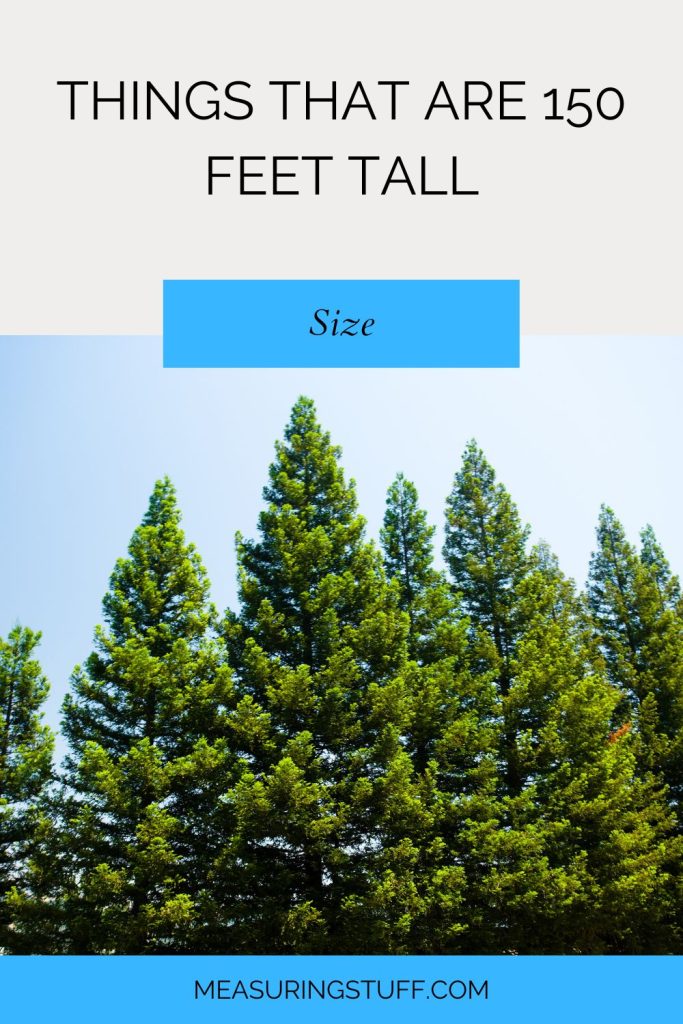 Things That Are 150 Feet Tall