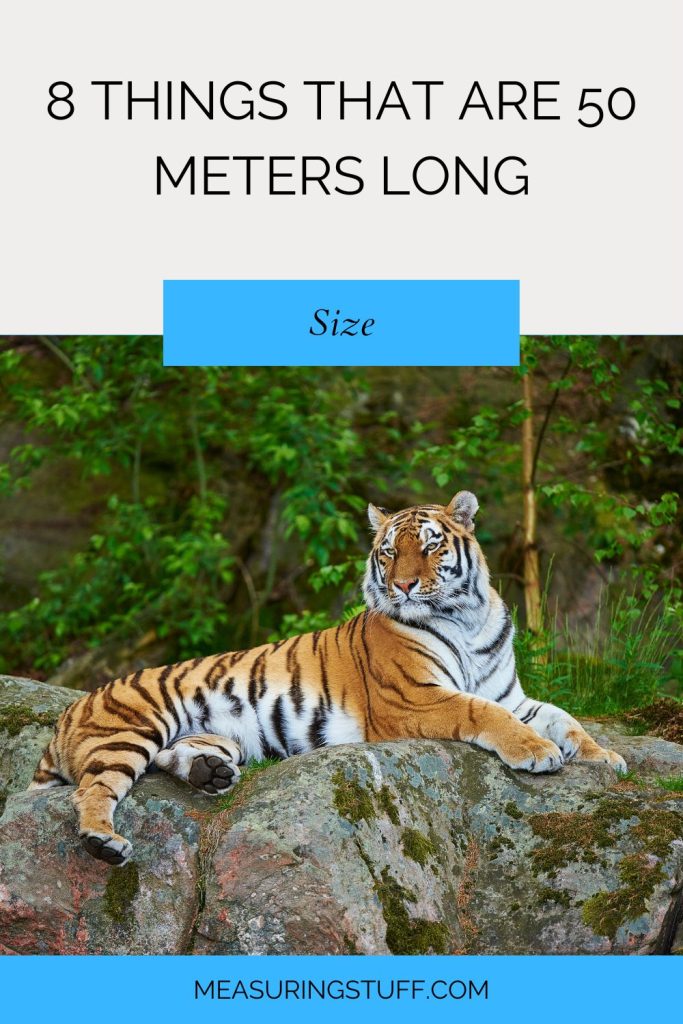 8 Things That Are 50 Meters Long