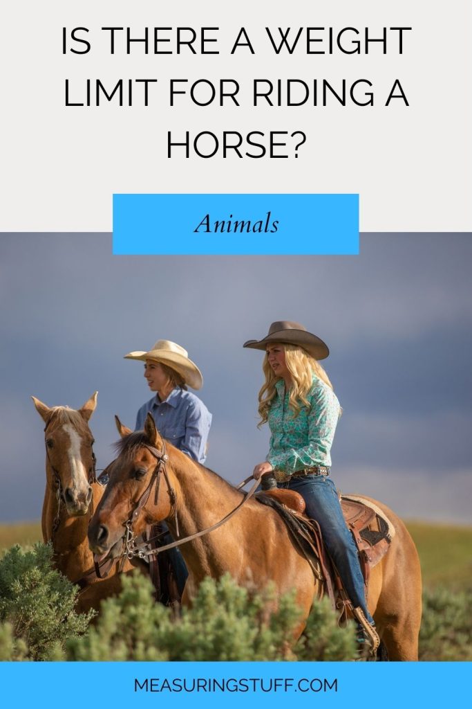 Is There A Weight Limit For Riding A Horse?