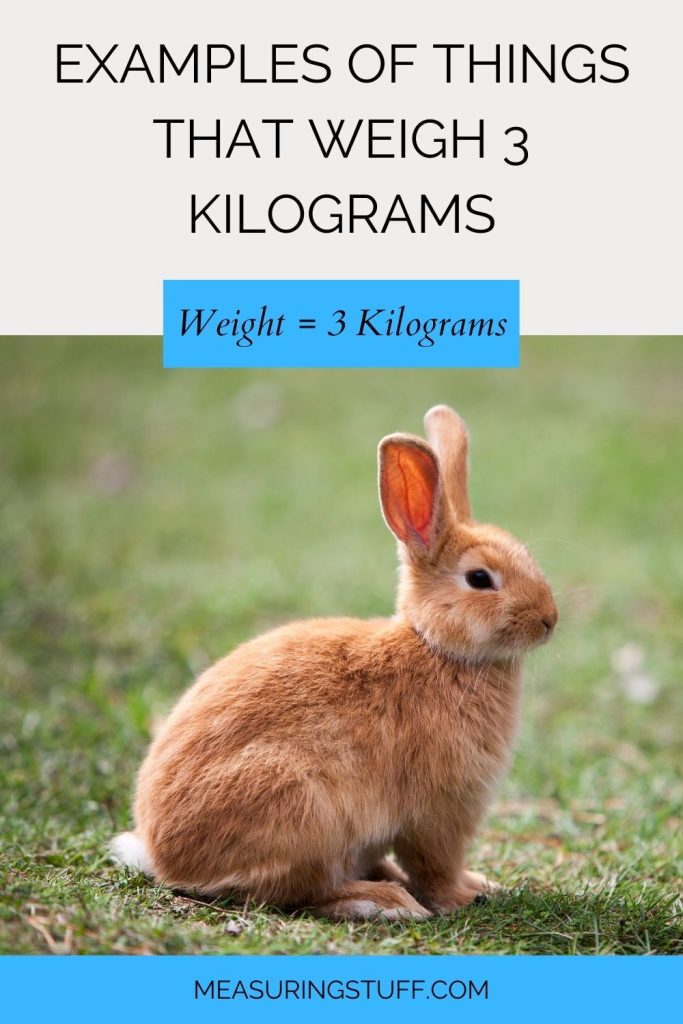 Examples Of Things That Weigh 3 Kilograms