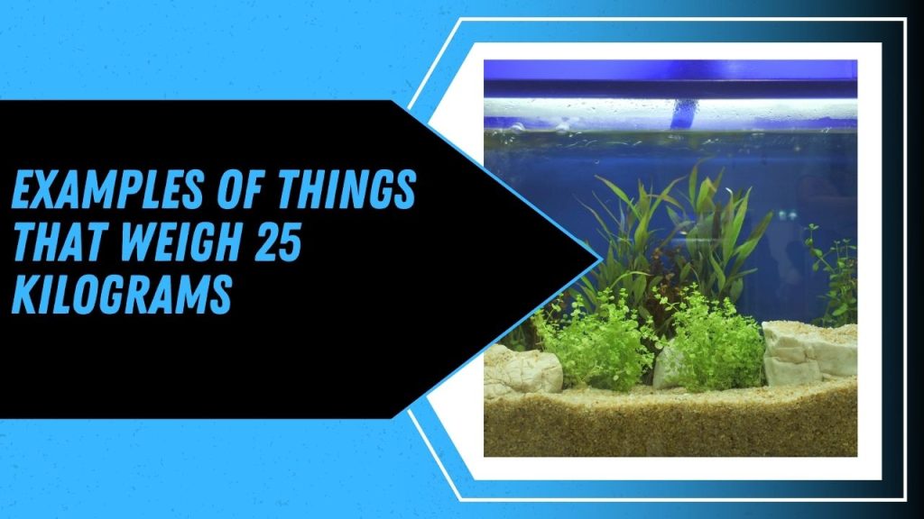 Examples Of Things That Weigh 25 Kilograms