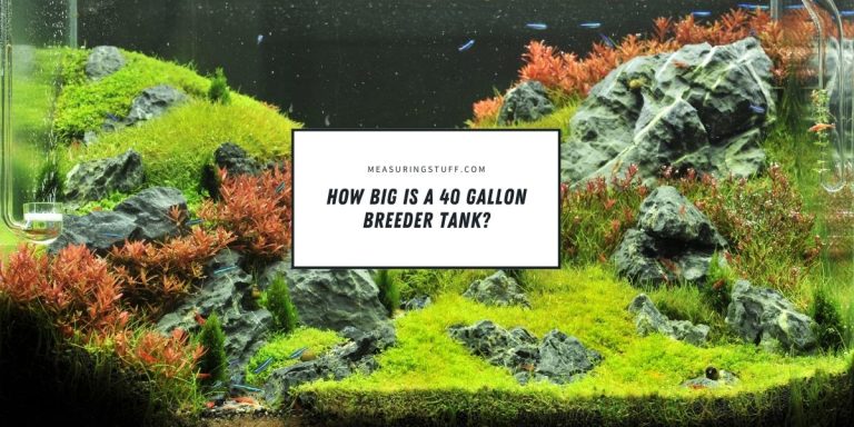 How Big Is A 40 Gallon Breeder Tank?