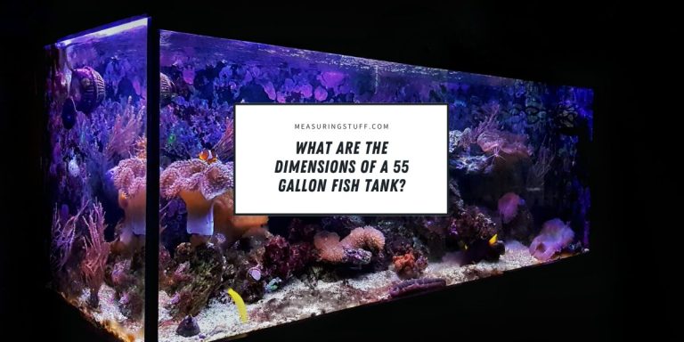 What Are The Dimensions Of A 55 Gallon Fish Tank?