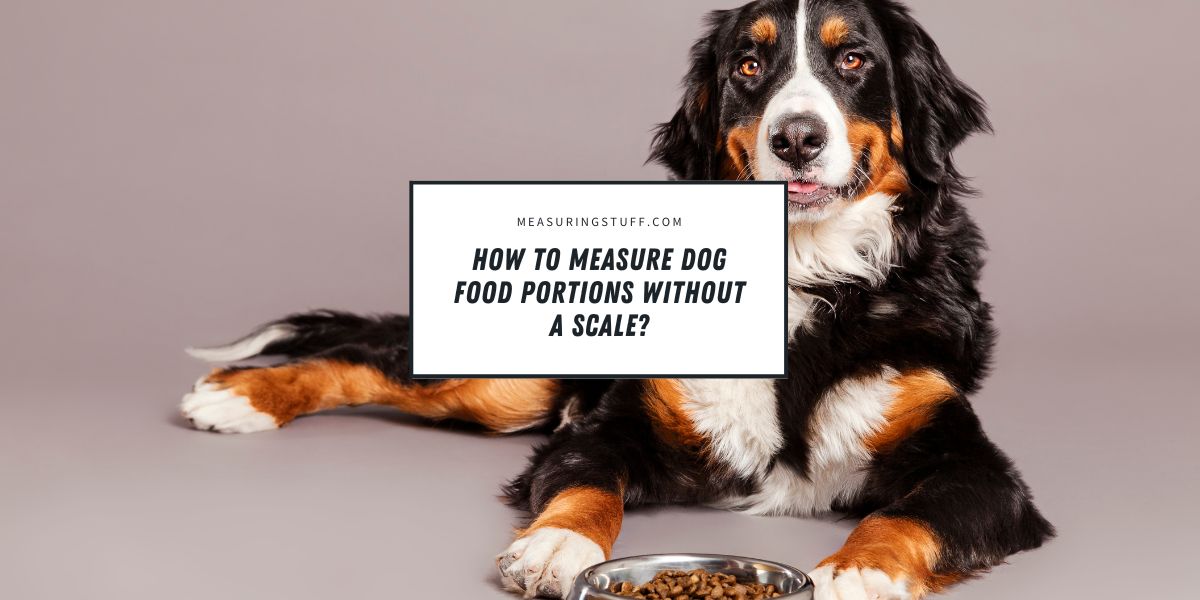 How To Measure Dog Food Portions Without A Scale?